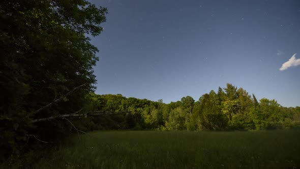 Fireflies Flying Around a Field on a Moon Lit Night alt