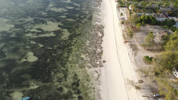 Ocean at Low Tide Near the Coast of Zanzibar Island Tanzania Slow Motion alt