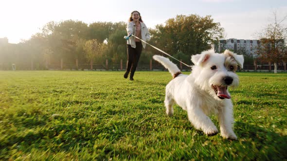 Jack Russell Terrier Dog Happily Runs with a Girl on the Grass in a Nature Park, Slow Motion alt