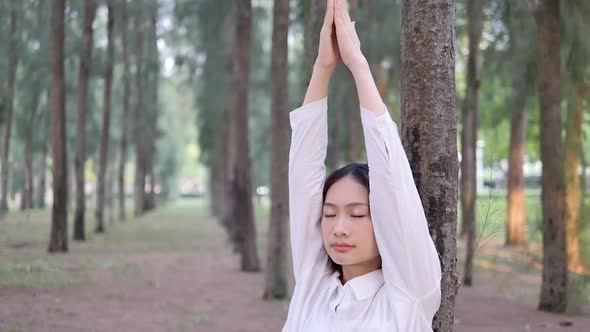 woman practicing yoga in the park pine forest