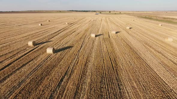Aerial Shot of a Horizonless Wheat Field with Large Rolls of Straw in Summer   