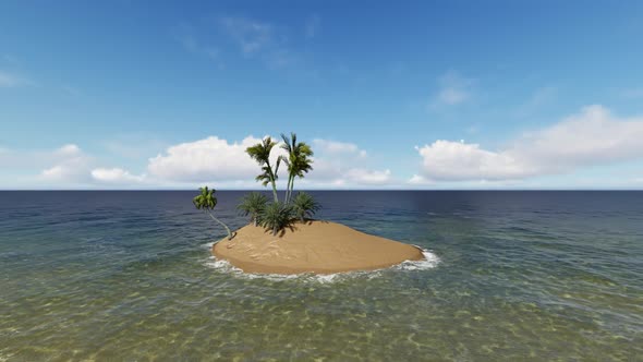 Palm Island Ocean