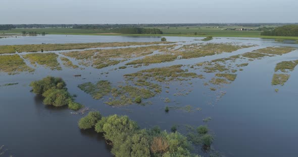 Aerial view of corn field along river Maas, The Netherlands. alt