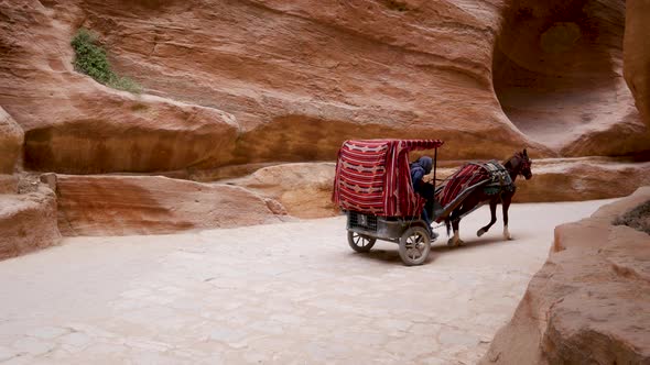 Colorful horse buggies take tourists down the Siq to the Treasury at Petra, Jordan alt