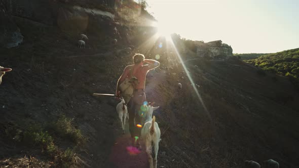 Shepherd Hot Sunny Day with His Animals in the Mountains alt