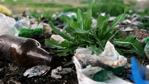 Many of Garbage Pollution Global Warming alt