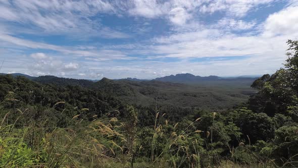 Aerial view of Perlis forest. alt