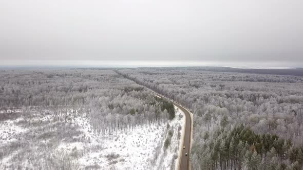 Road In The Winter Forest