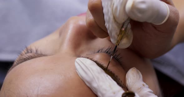 tattooing of eyebrows in beauty salon alt