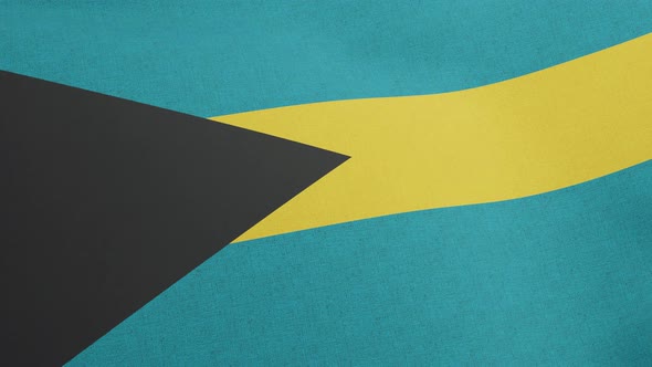 National Flag of Commonwealth of The Bahamas Waving Original Size and Colors 3D Render Flag Bahama alt