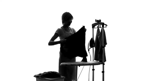 Laundry Service Worker Ironing Customers Clothes, Hotel Dry Cleaning, Housewife alt