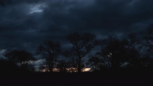 Clouds Flying Over Cottonwood Trees at Sunrise Timelapse Zoom Out alt
