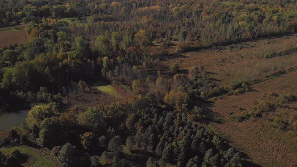 Aerial Of Autumn Woods