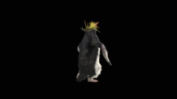 Penguin Dancing HD alt