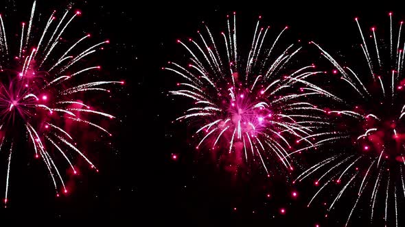 Colorful Fireworks Exploding in the Night Sky alt