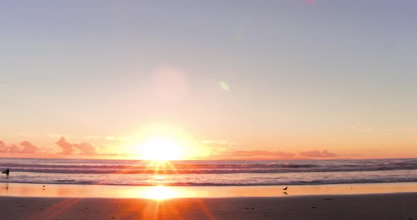 Sunset Surfer And Seagulls