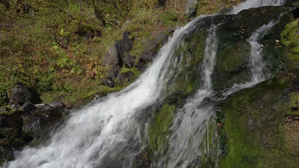 Alpine Waterfall with Clear and Crystal Clean Water Flowing in Mountains