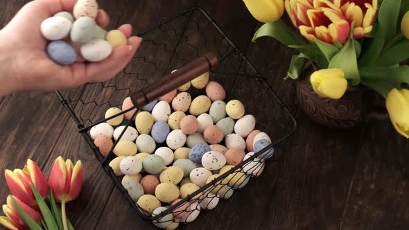 Easter colorful quail eggs