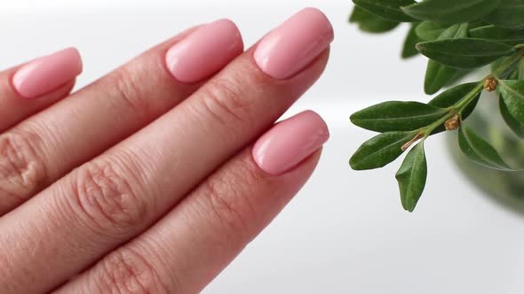 Female Fingers with Fresh Gentle Pink Manicure on a Background of Green Plants