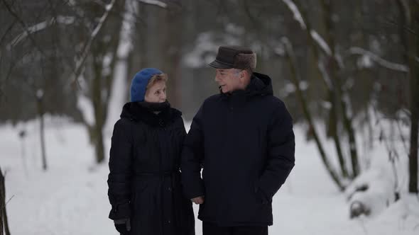 Elderly Married Couple Is Walking Together at Winter Day in Park Happy Loving Spouses alt