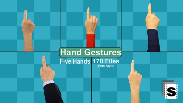 Hand Gestures 
