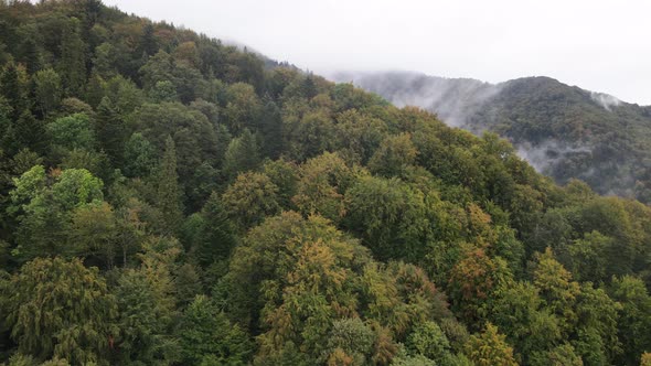 Nature of Ukraine: Carpathian Mountains Slow Motion. Aerial View alt