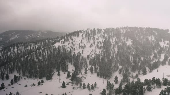 4k view of the forest, clouds and trees above the Rocky Mountains outside Boulder, CO on snowy day alt