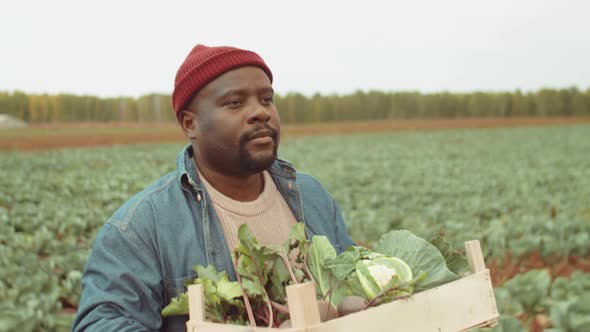African American Man Carrying Box of Vegetables through Farm Field alt