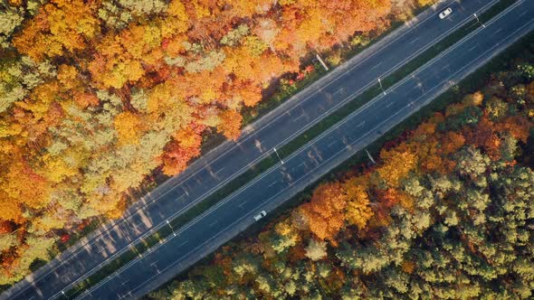 Aerial View of Road in Beautiful Autumn Forest at Sunset