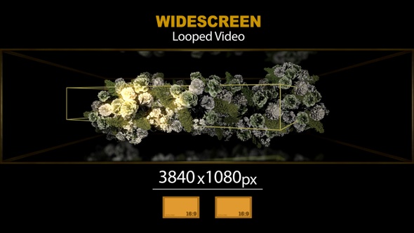 Widescreen 3D Decoration Flowers Room 01