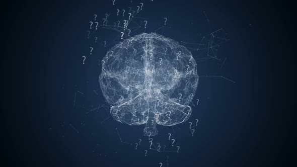 X-ray Brain Rotation alt