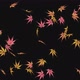 The autumn leaves - VideoHive Item for Sale