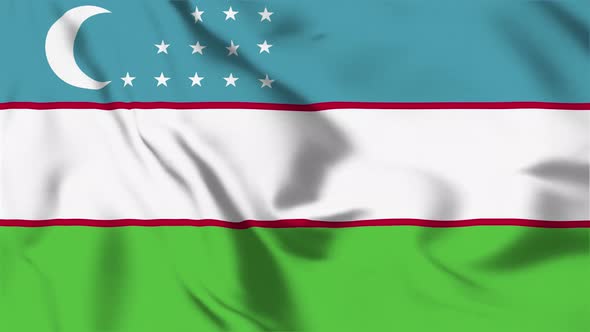 4K Uzbekistan Flag - Loopable