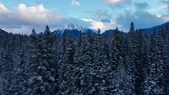 Mountain behind pine tree forest in winter snow moving alt