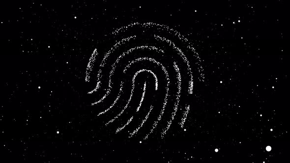 Fingerprints, Data Processing And Digital Identification. alt