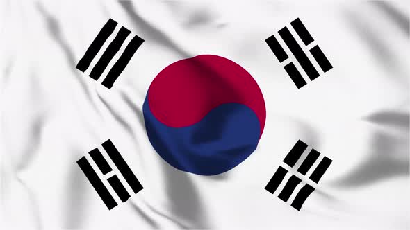 4K South Korea Flag - Loopable