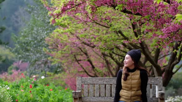 Slow motion of a beautiful young asian woman sitting in pink cherry blossom flower garden