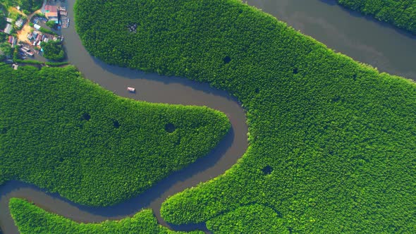 Aerial view over a fishing village with mangroves surrounding alt