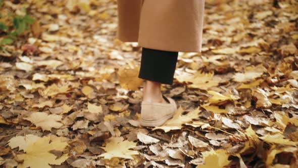 Legs of Woman Walking in Autumn Park alt