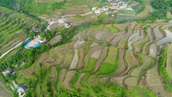 Aerial View of Green Terraced Rice and Field Farms in Poor Village in China, Asia. alt
