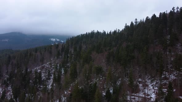 Winter forest and mountains from air. Winter landscape. aerial drone shot. alt