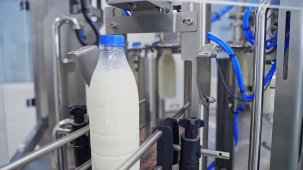 Milk production line at dairy factory. alt