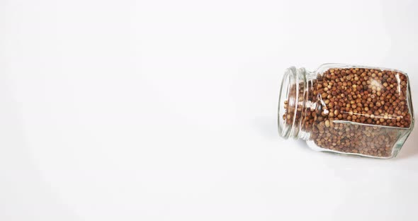 Coriander, coriandrum sativum, seeds falling against White Background, Slow Motion 4K alt