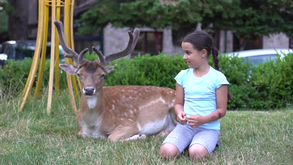 Hand of Cute Little Girl Feeding Roe Deer in a Park