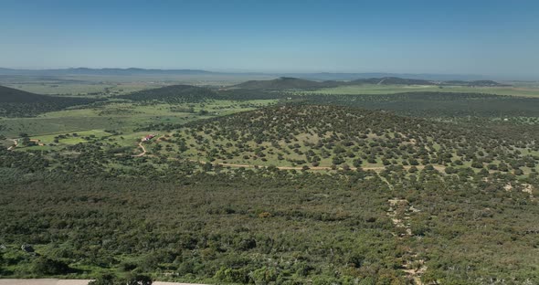 Stunning view of a church in the middle of nature alt