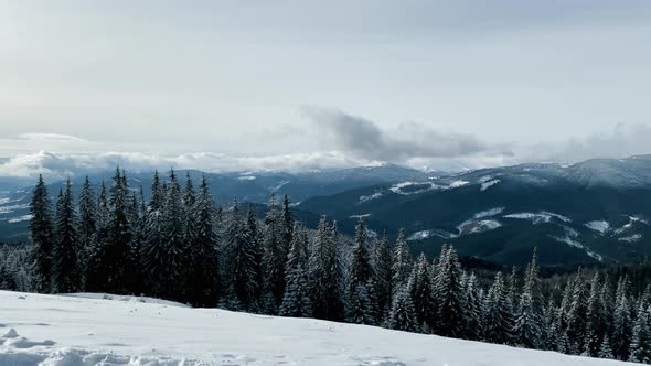 Landscape Panorama Winter Mountains and Forest in a Ski Resort Top of the Mountain alt