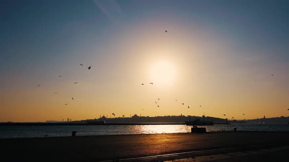 Sea and Seagulls At Sunset alt