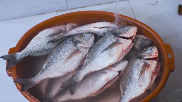 Fresh Dorado Fish Lies in a Bowl in the Water and Water Pours From Above at the Fish Market alt