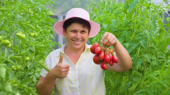 Mature Woman with Thumb Up Holds Tomatoes in Her Hand and Showing Them to the Camera alt