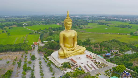 Aerial view of the Giant Golden Buddha in Wat Muang in Ang Thong district with paddy rice field alt